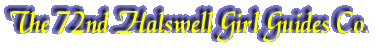 The 72nd Halswell Girl Guides Co.
